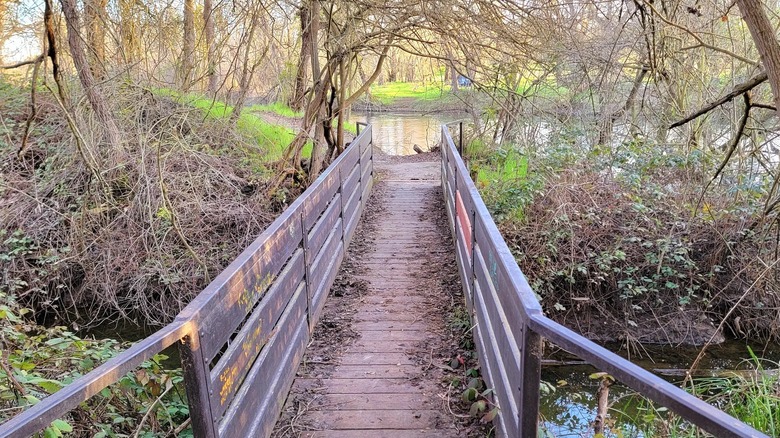 A view of a bridge within Jacob Myers Park in Escalon, California