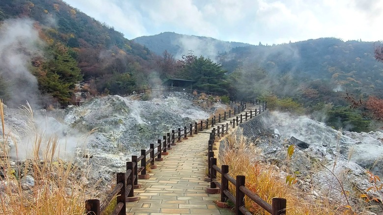 A walkway surrounded by steaming hot springs in Unzen-Amakusa National Park, Japan