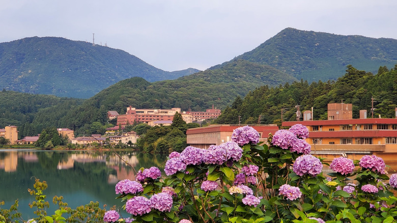 Bright pink flowers and mountains within the hot spring town Unzen Onsen in Unzen-Amakusa National Park