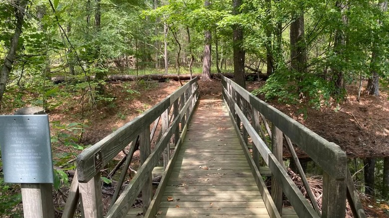 Bridge along a tree-lined hiking parth at Bowie Nature Park