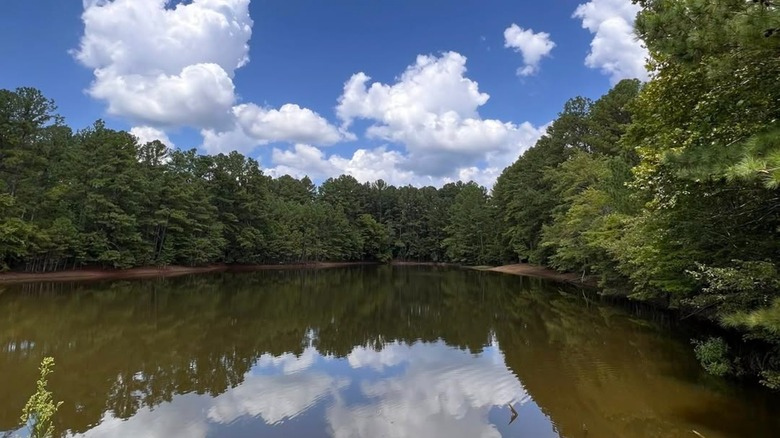 Lake surrounded by trees, blue skies, and clouds at Bowie Nature Park