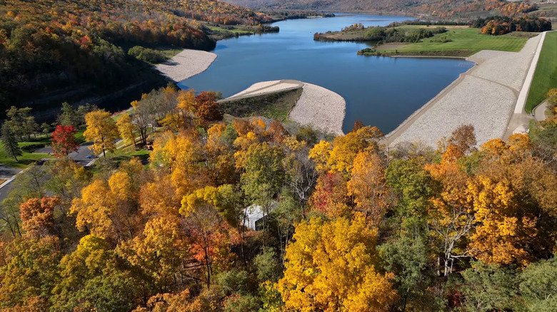 Aerial view of the Tioga-Hammond Lakes