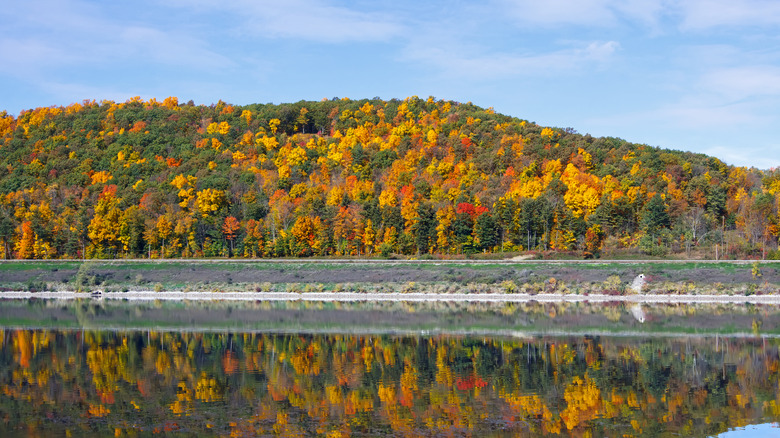 Fall colors at Hammond Lake, Tioga, Pennsylvania