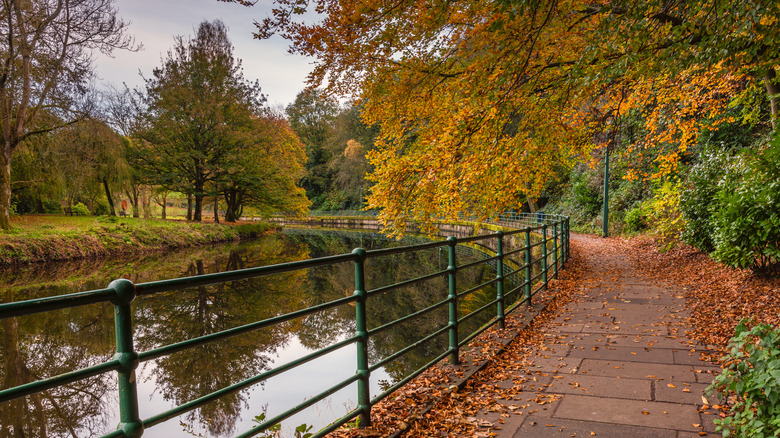 Fall foliage trees over a walking path next to a river on a riverside walk in Morpeth
