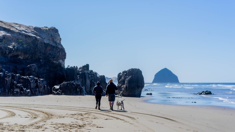 A couple walks their dog on McPhillips Beach with boulders and a large haystack in the distance
