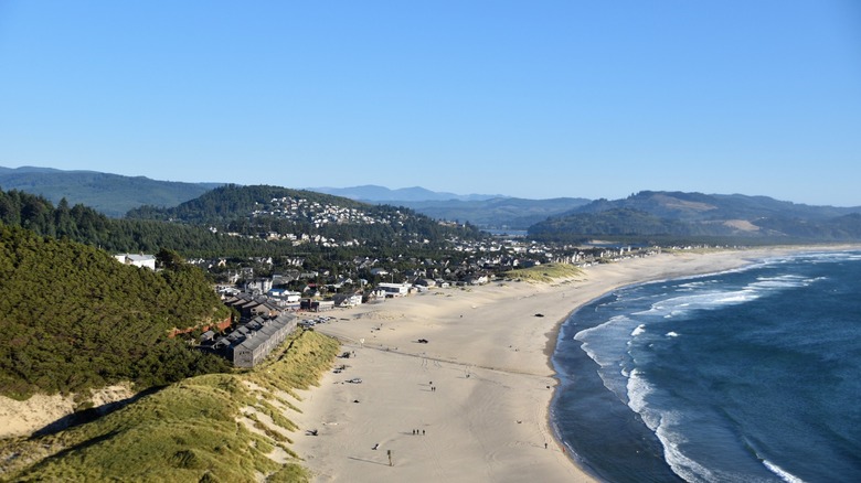A distant view of Pacific City in Oregon from the coast