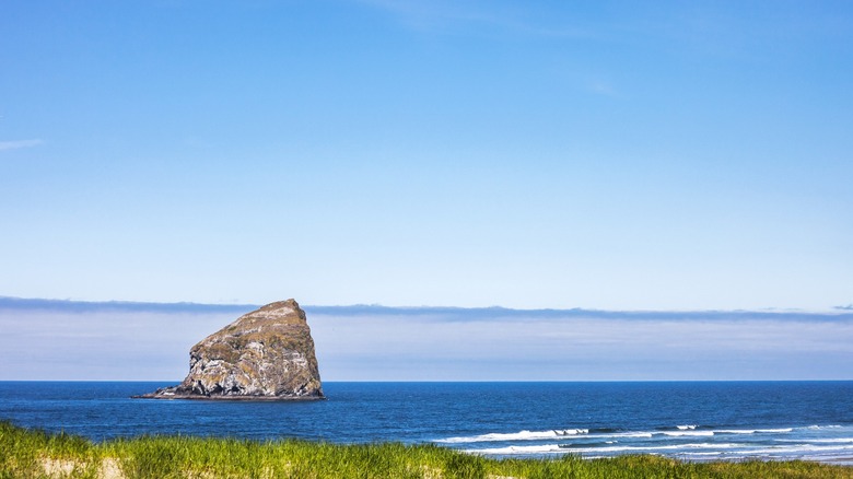 a view of green dune grass, blue ocean, and Haystack Rock in Pacific City, Oregon