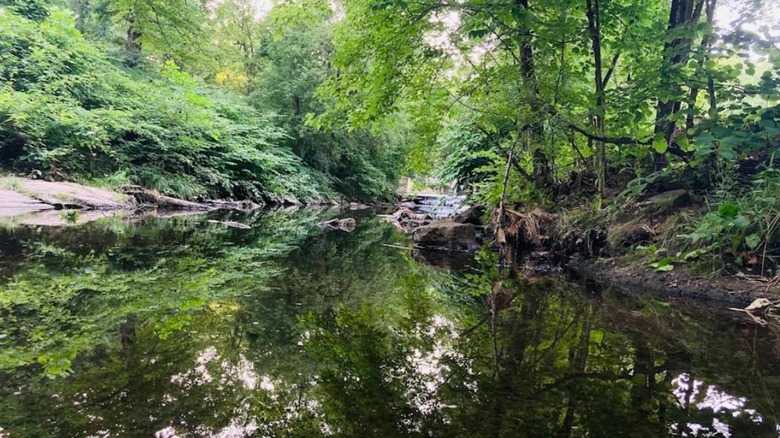 The natural scenery of Naylors Run Park in Upper Darby, Pennsylvania