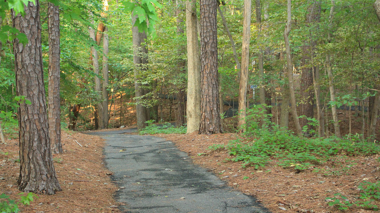 Trail in Lake Crabtree County Park in Morrisville, North Carolina