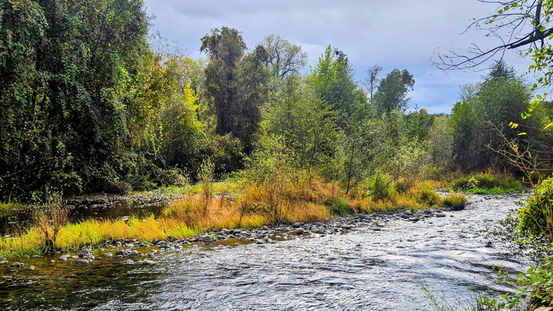 Battle Creek Wildlife Area in Shasta County, California