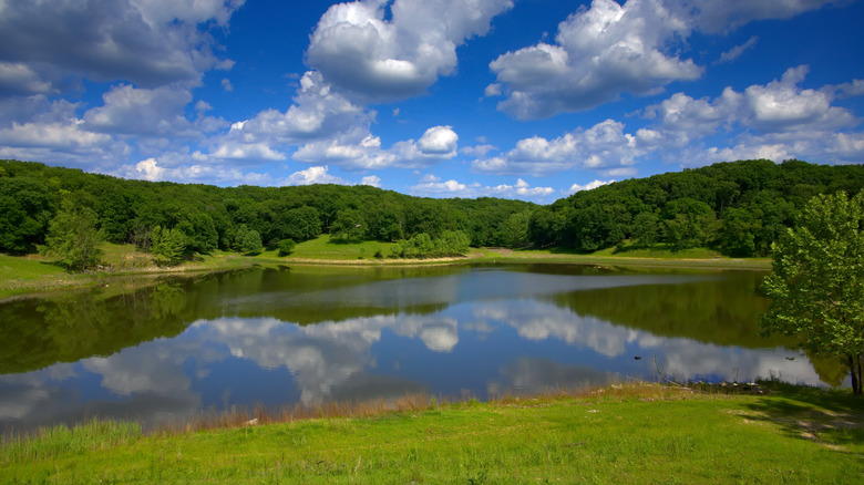 Lake at Lone Elk Park in Missouri