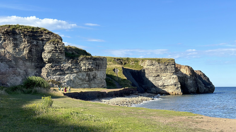 Limestone cliffs at Nose's Point in Seaham, England