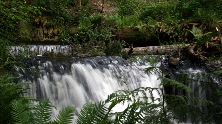 victor falls at bonney lake washington