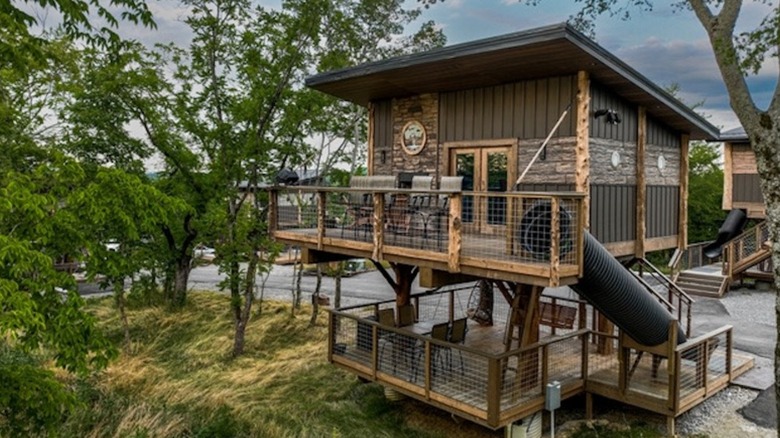 Treehouse cabin surrounded by trees