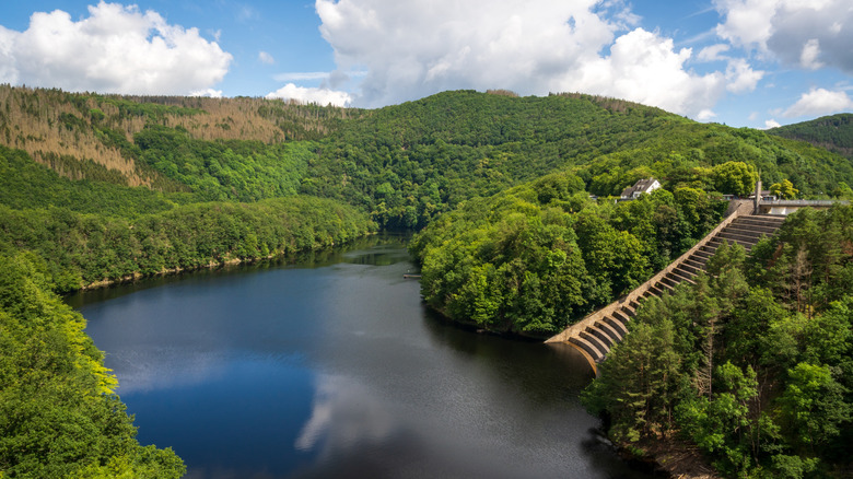 Steps leading from Urft Dam down into a reservoir surrounded by forest in Eifel National Park, Germany