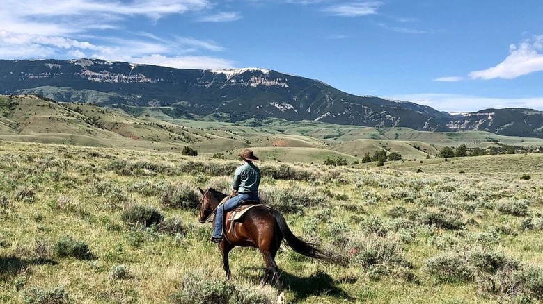 A rider sits on a brown horse looking out over rolling green hills with a mountain range in the distance