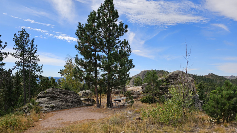 A remote tent site with picnic table and big sky views at Sylvan Lake Campground in Custer State Park