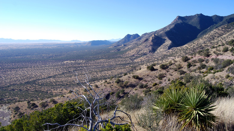 An expansive view from Arizona's Miller Peak in the Huachuca Mountain Range