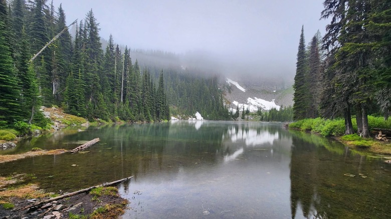 Blossom Lake sits clear and crisp surrounded by conifers with the mountains on the horizon obscured by mist