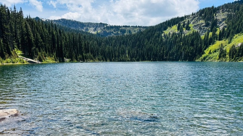Crystal-clear water reflects the blue of the partly-cloudy sky as a tree-covered valley rises out of the water