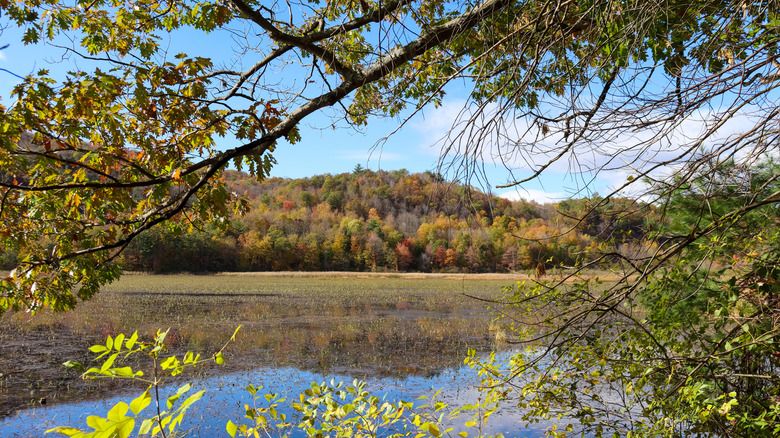 Lake Bomoseen, Vermont, framed by tree branches during the fall, with a partly cloudy sky