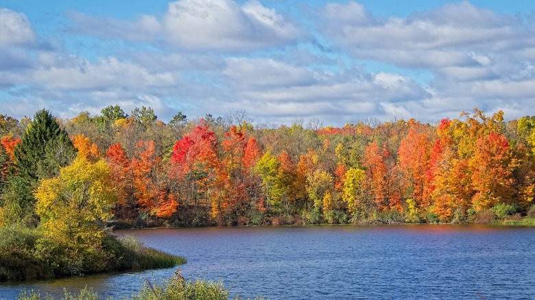 The lake with trees of different colors at Lake La Su An Wildlife Area.