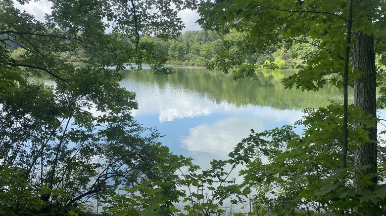 The view from a hiking trail off Lake La Su An Wildlife Area