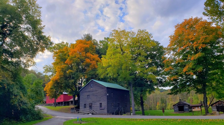 Pioneer Village at Beaver Creek State Park, with small log structures on the right, a larger black-sided building in the center, and a red building in the background on the left, with paths through grass and autumn trees around them, under a cloudy sky