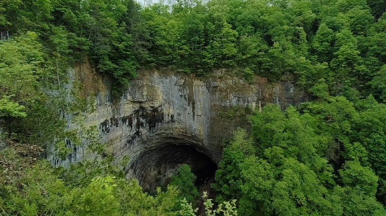 Natural Tunnel State Park