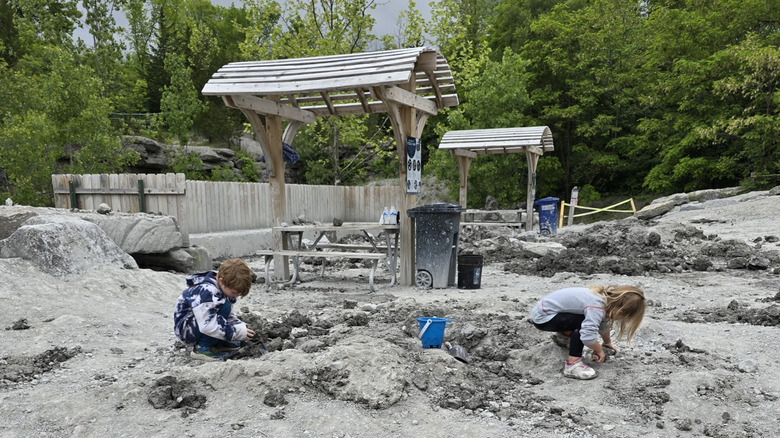 Two children searching for fossils in Fossil Park, Ohio