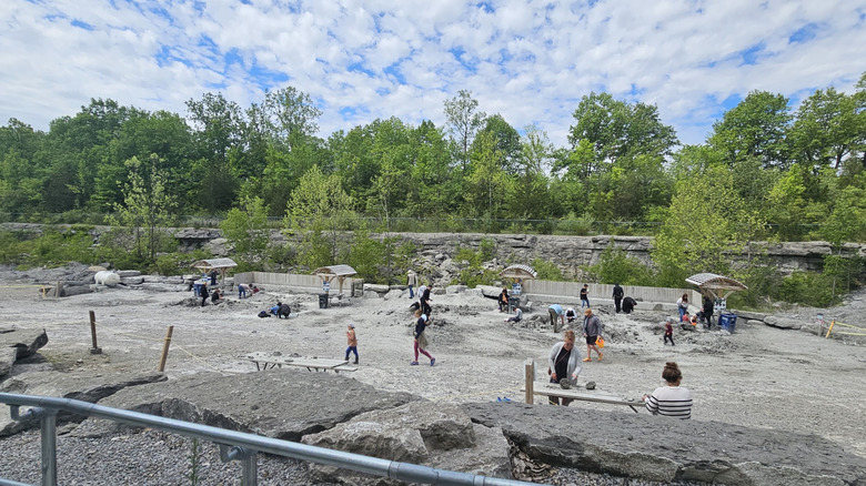People hunting for fossils among the rocks of Fossil Park in Ohio