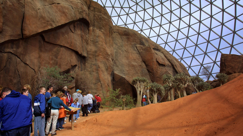 inside the Desert Dome, the world's largest indoor desert, in the Henry Doorly Zoo and Aquarium