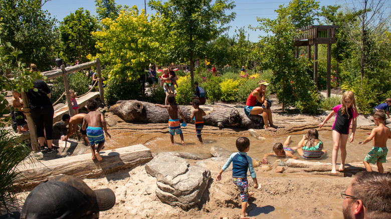 children and their parents playing at the Adventure Trails play area in the Henry Doorly Zoo and Aquarium