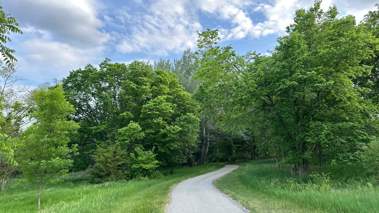 A wide, paved trail through Zorinsky Lake Park in Omaha, Nebraska