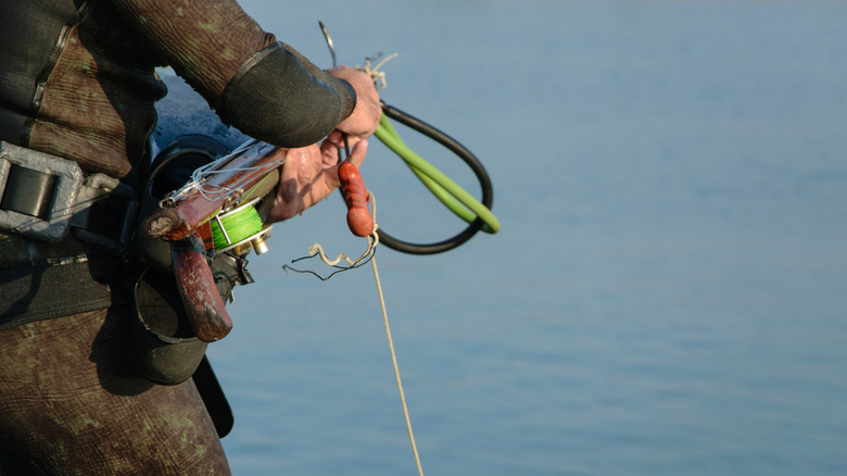 A person wearing a wetsuit checks spearfishing equipment while standing in the water.