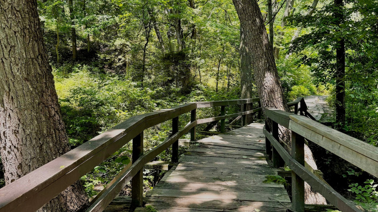 Boardwalk trail at Platte River State Park, Nebraska