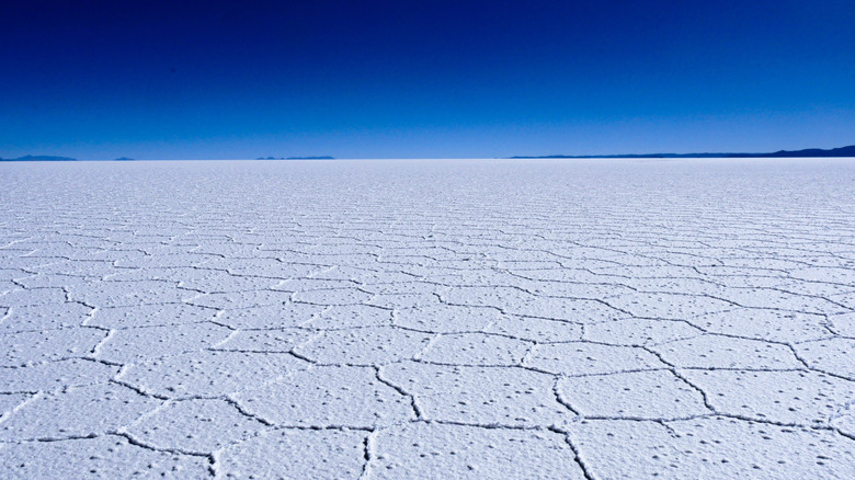 Salar de Uyuni salt flats, Bolivia