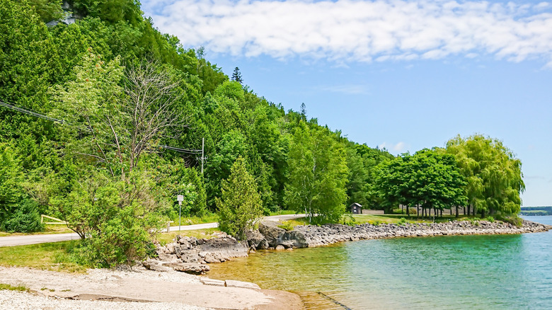 A forested park and waterfront road on Georgian Bay near Wiarton, Ontario.