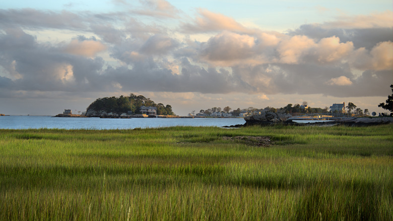 The marshland around Stony Creek at sunset