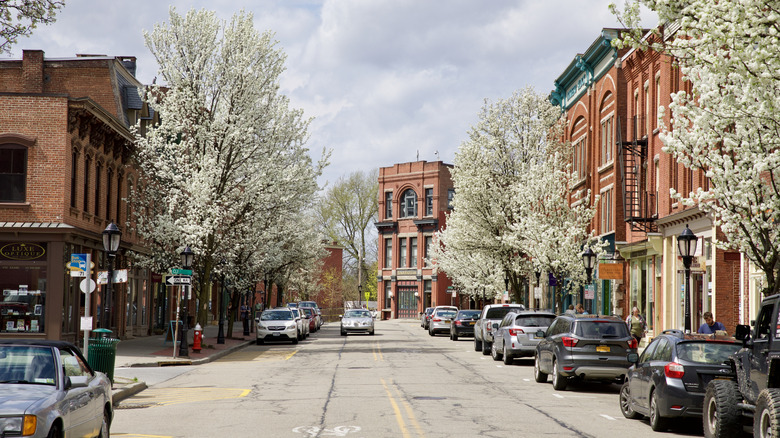 Sunlit street with blossom in Beacon, New York