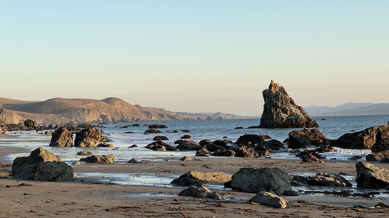 Large rocks dot the sandy shoreline at Pinnacle Gulch Beach in Bodega Bay, Sonoma County.