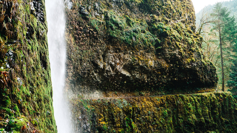 The narrow trail behind tunnel falls