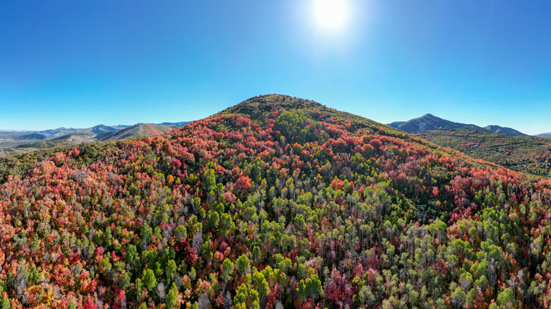 Hills change colors in fall in Utah