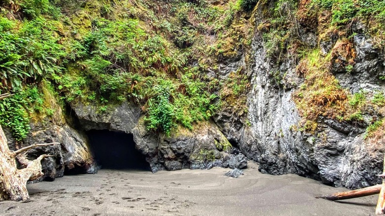 A cave in a fern-covered cliff face opens up onto a sandy beach at Little River Blowhole, on the Mendocino Coast.