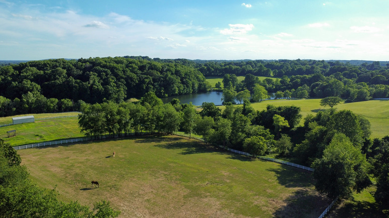 An aerial view of Carousel Park in Wilmington