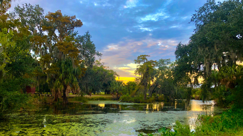 Sunset over a Louisiana swamp
