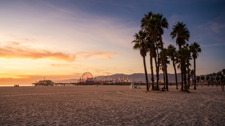 Palm trees on Ocean Park's beach at sunset, with the Santa Monica Pier visible in the background