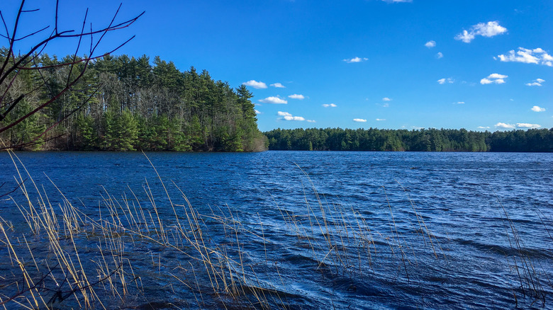 Lake Rico in Massasoit State Park, Taunton