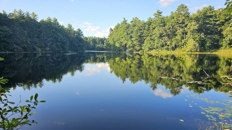Sunset Lake at the F Gilbert Hills State Forest in Foxborough, Massachusetts