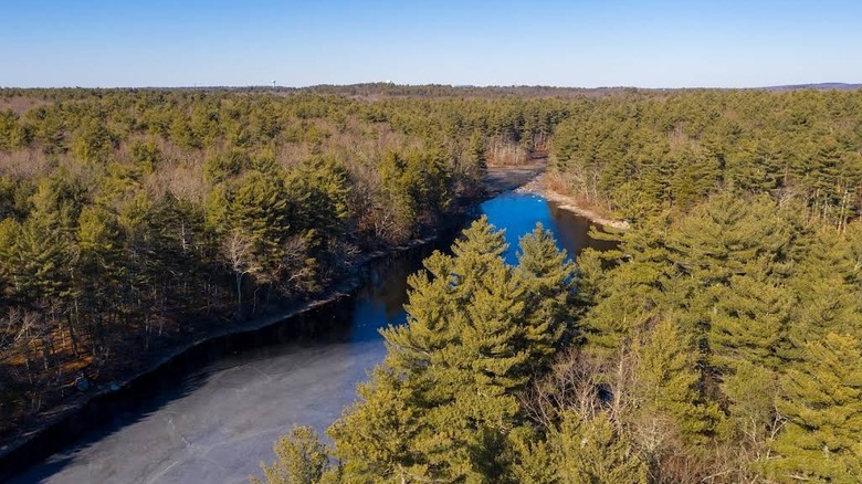 Colorful fall leaves in the F Gilbert Hills State Forest